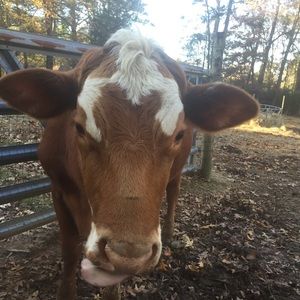 Meet your Posher, Madalyn